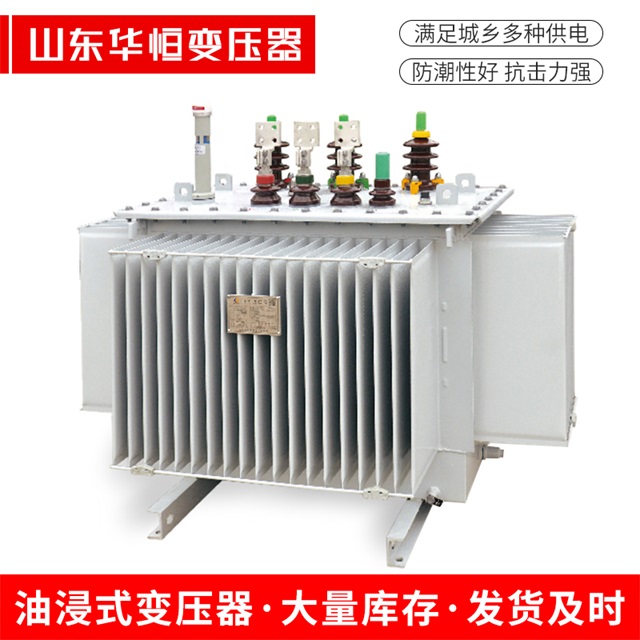 S13-10000/35察布查尔察布查尔察布查尔电力变压器